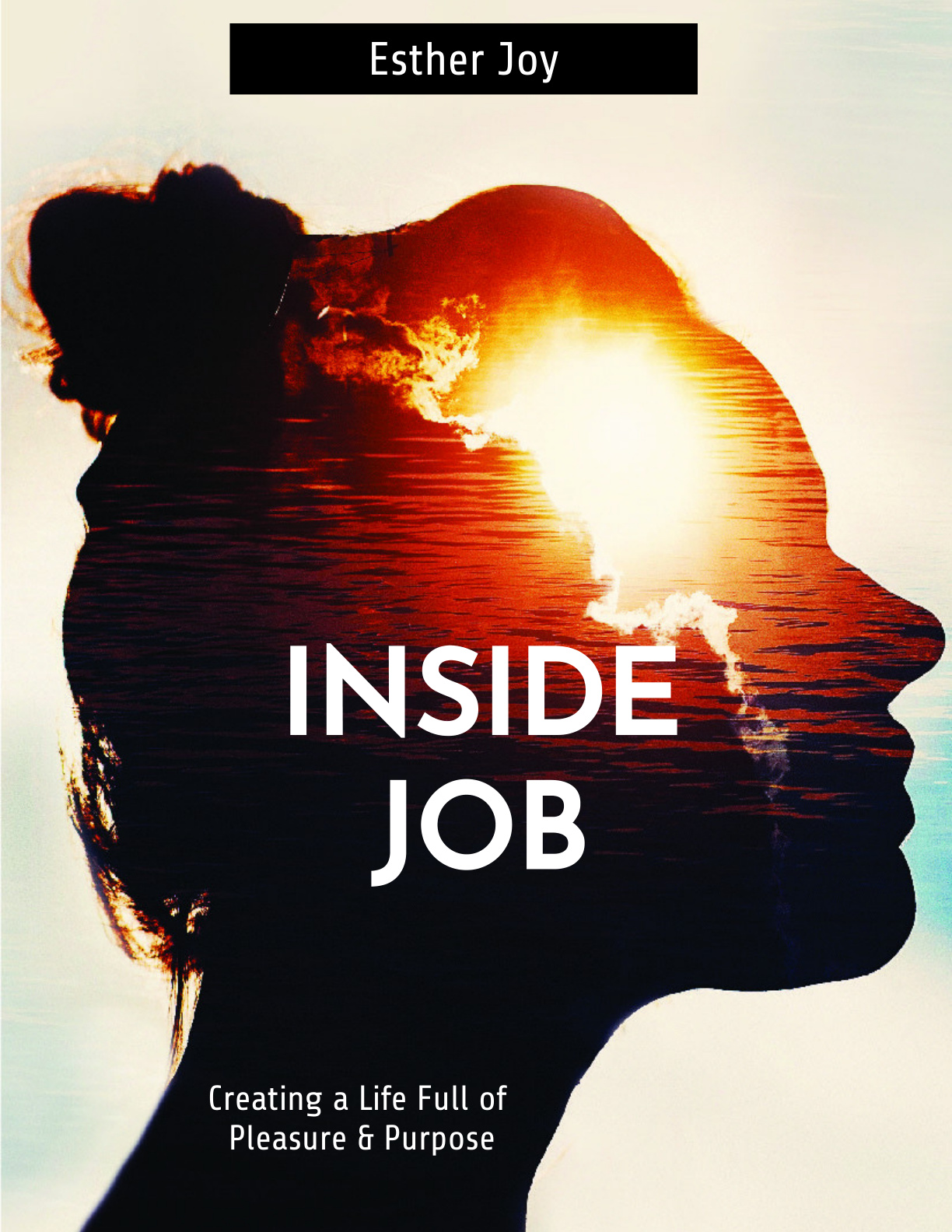Inside Job cover