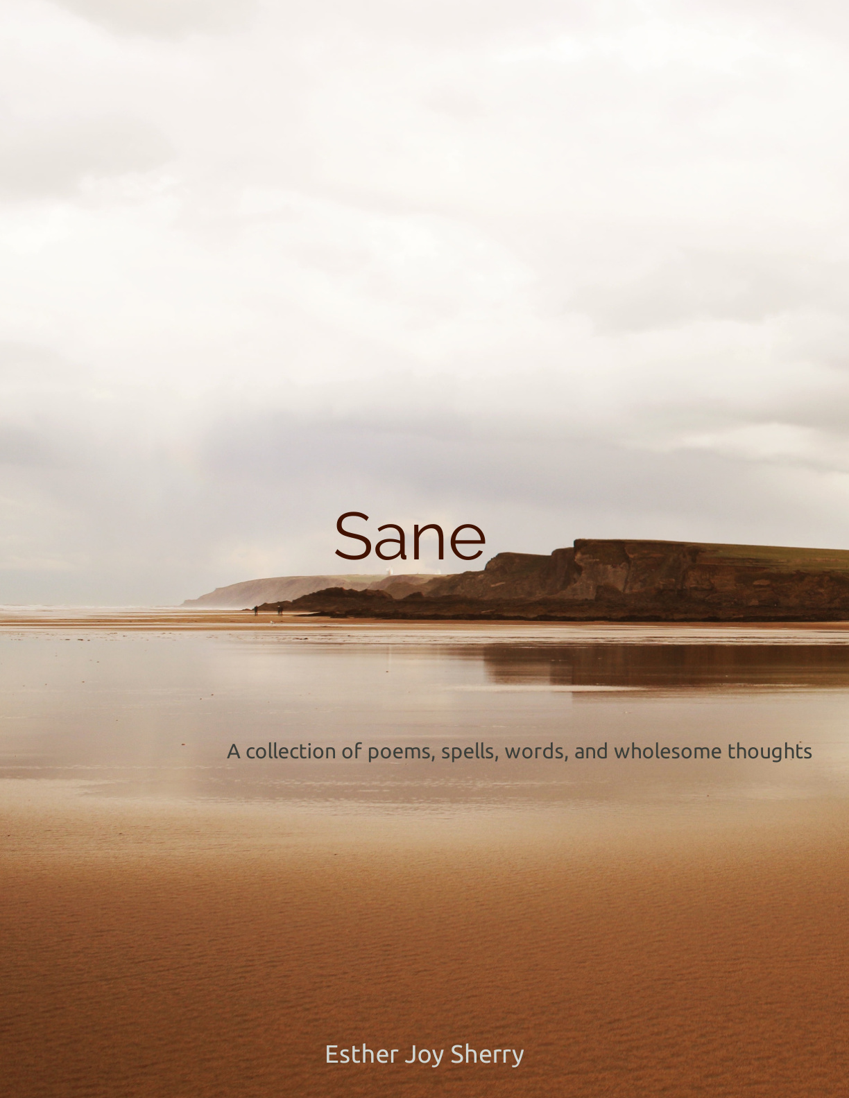 Sane cover